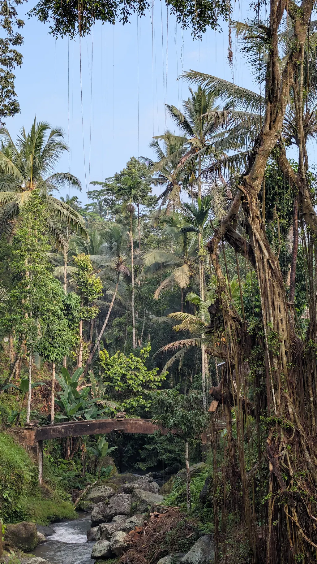 Bali-Blandine-4.webp