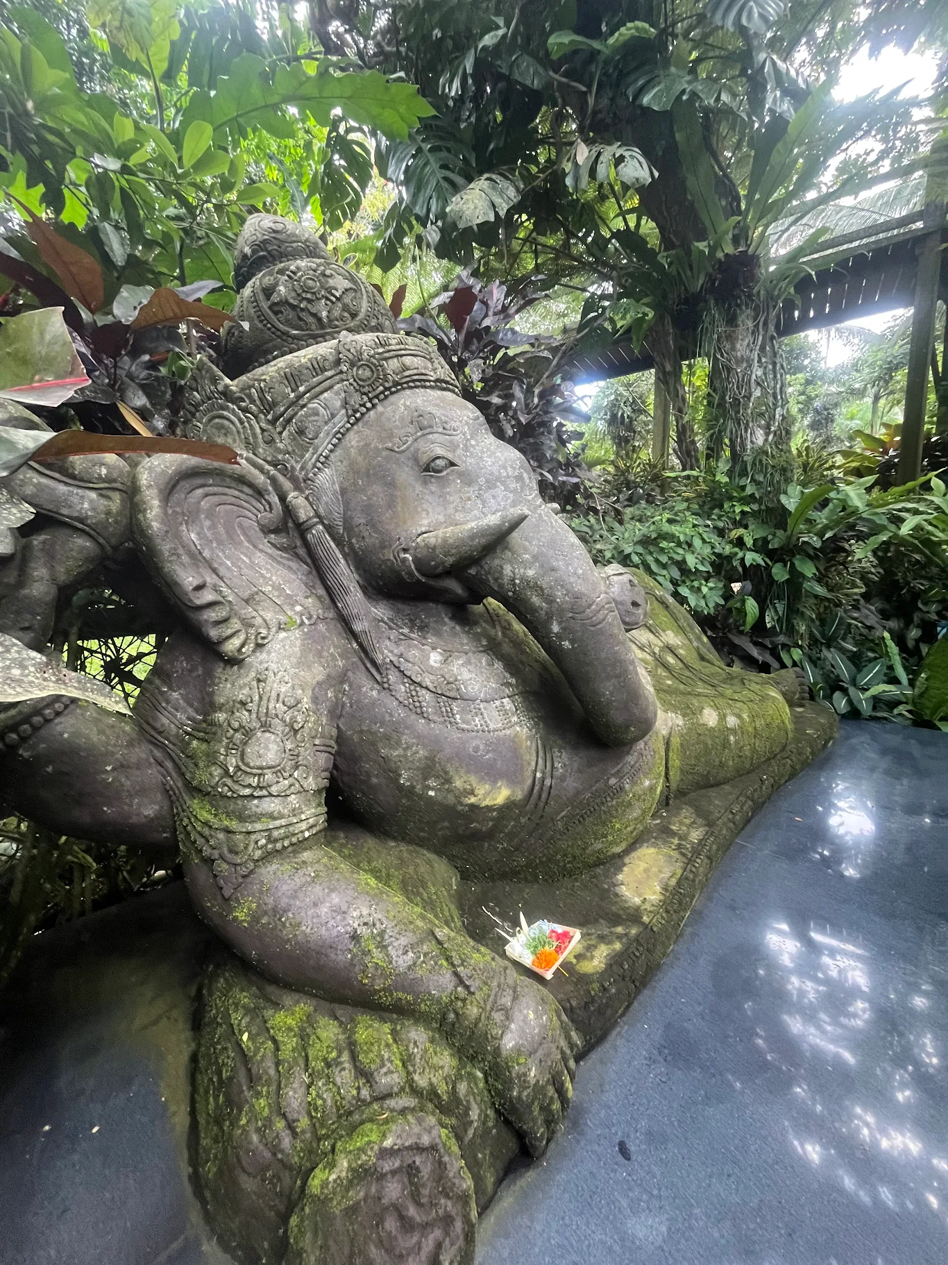 bali-dé-4.webp