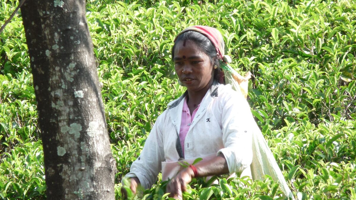 tui-store-pau-lons-sri-lanka-13.jpg