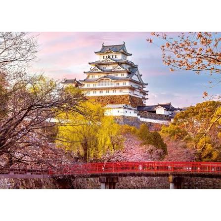 tui-store-pau-lons-voyage-de-noces-japon-5.jpg