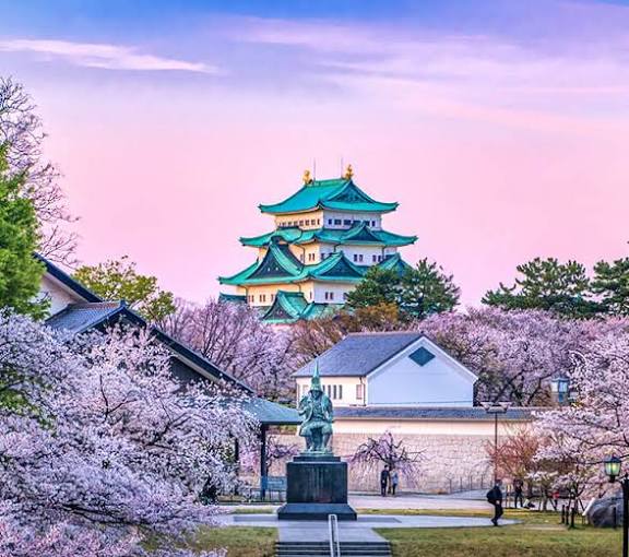 tui-store-pau-lons-voyage-de-noces-japon-8.jpg