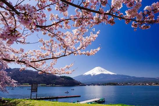 tui-store-pau-lons-voyage-de-noces-japon-9.jpg