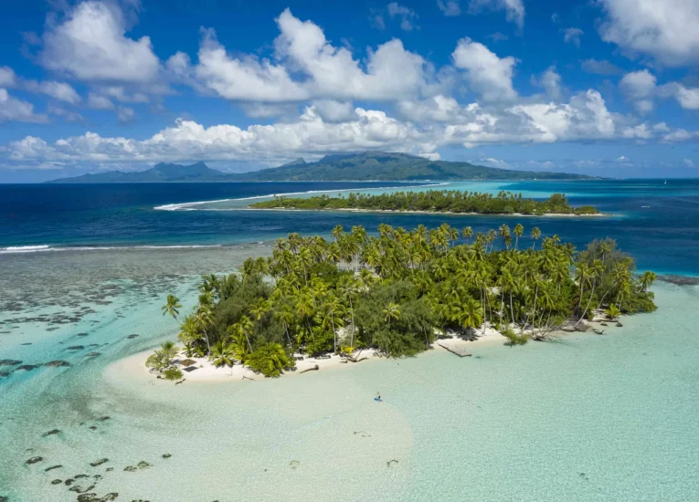 tui-store-pau-lons-polynésie-3.webp