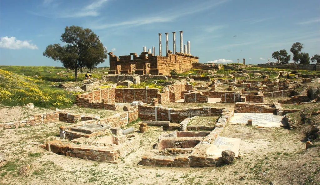 tui-store-pau-lons-tunisie-historique-16.webp
