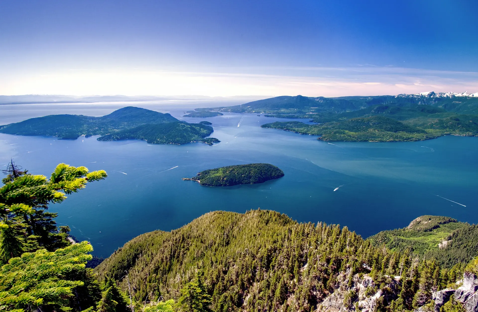 tui-store-pau-lons-vancouver-20.webp