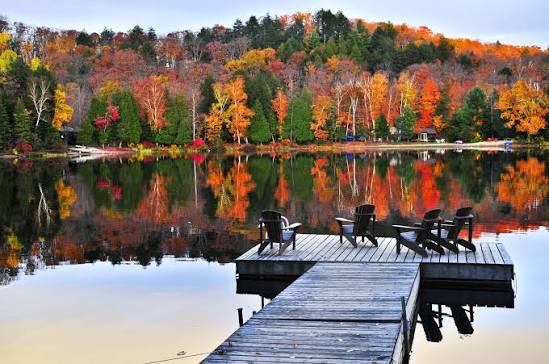 tui-store-pau-lons-cantons-de-l'est-canada-13.jpg
