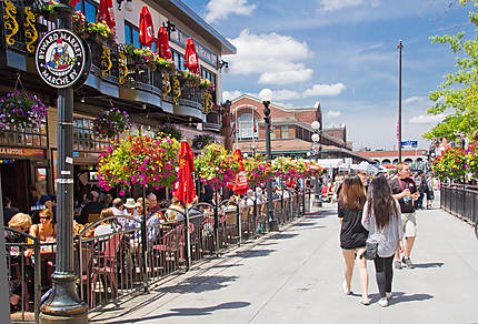 tui-store-pau-lons-cantons-de-l'est-canada-25.jpg