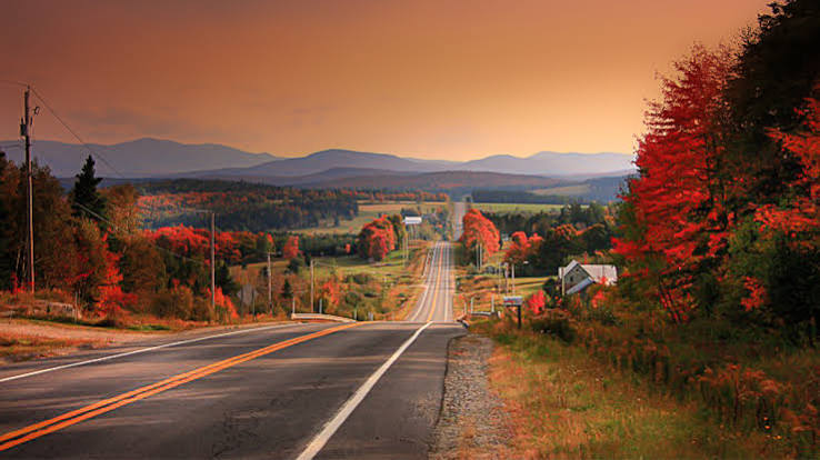 tui-store-pau-lons-cantons-de-l'est-canada-29.jpg