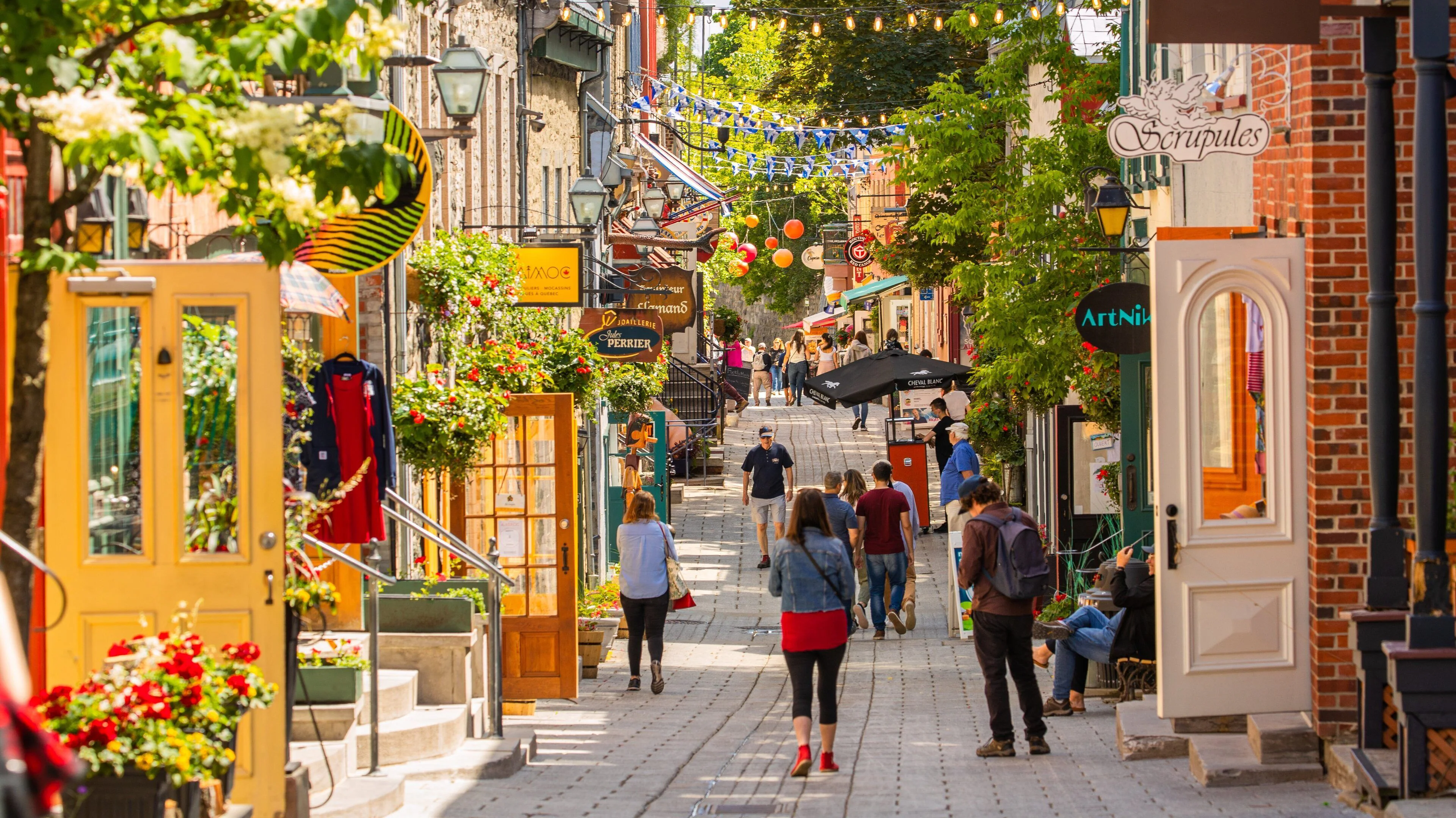 tui-store-pau-lons-cantons-de-l'est-canada-37.webp