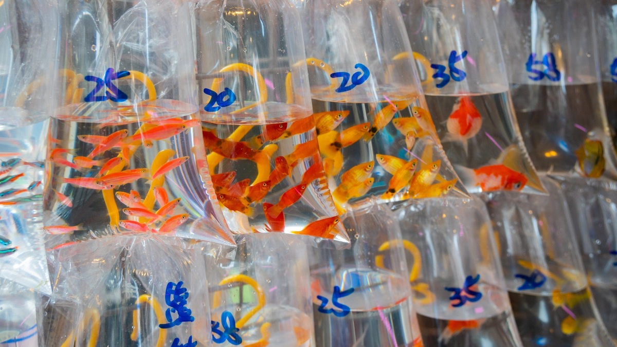 tui-store-pau-lons-hong-kong-10.jpg