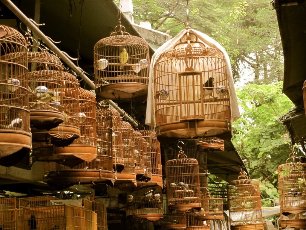 tui-store-pau-lons-hong-kong-9.jpg