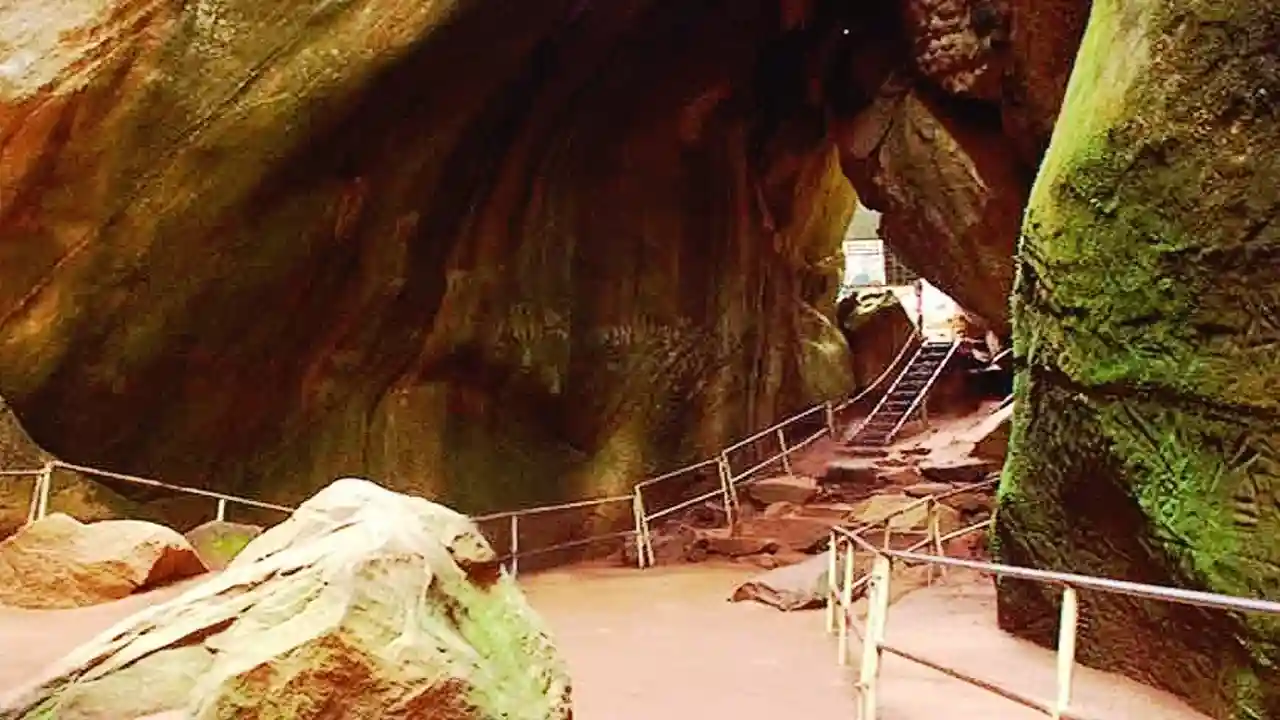 tui-store-pau-lons-kerala-12.webp