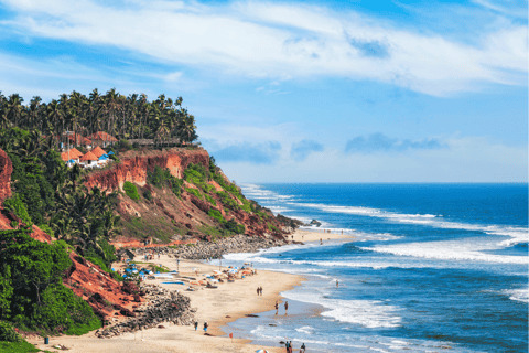 tui-store-pau-lons-kerala-7.png