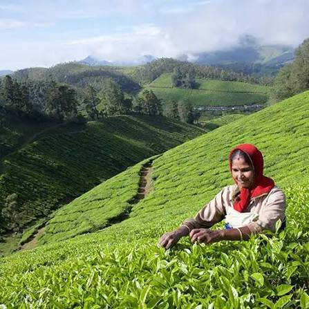 tui-store-pau-lons-kerala-5.jpg
